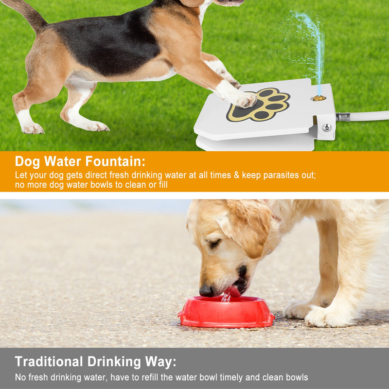 Dog Water Dispenser – Portable Fountain with Safety Pedal