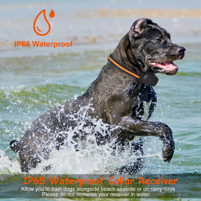 Dog Training Collar – 3 Modes, 9 Levels, Recording, and 300m Range
