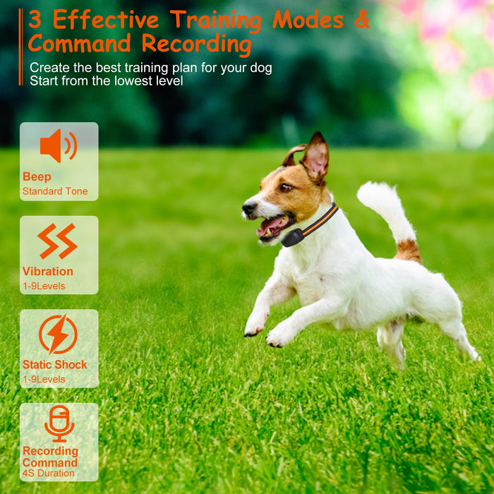 Dog Training Collar – 3 Modes, 9 Levels, Recording, and 300m Range