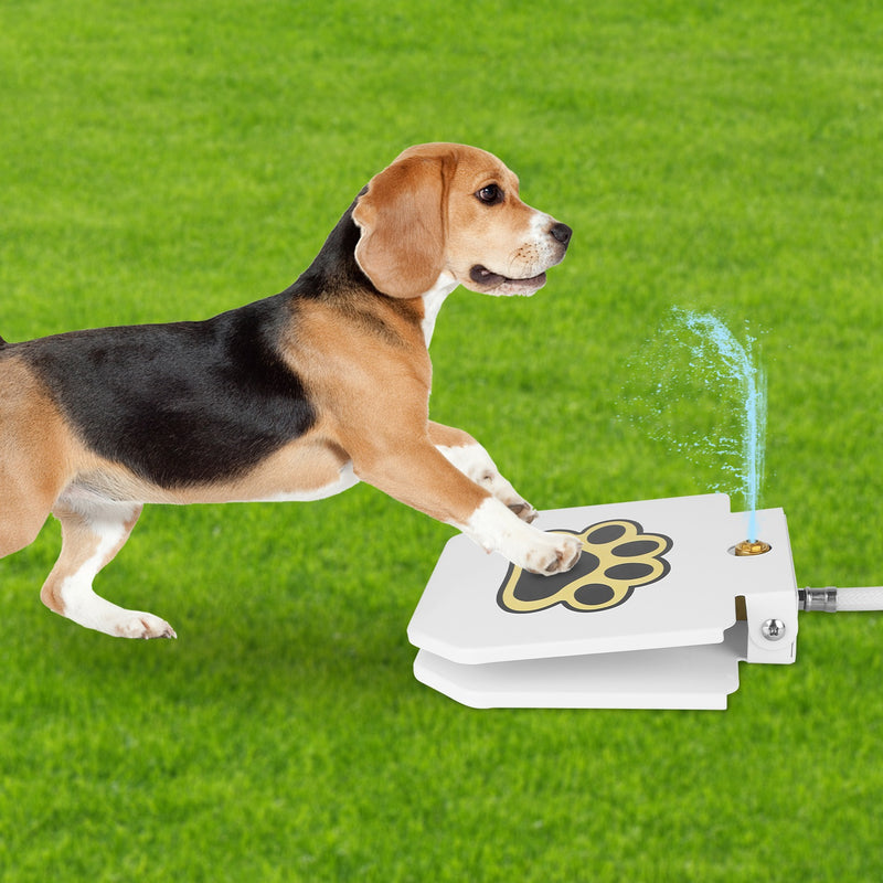 Dog Water Dispenser – Portable Fountain with Safety Pedal