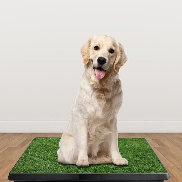 Dog Training Mat - Artificial Grass with Indoor/Outdoor Potty Tray