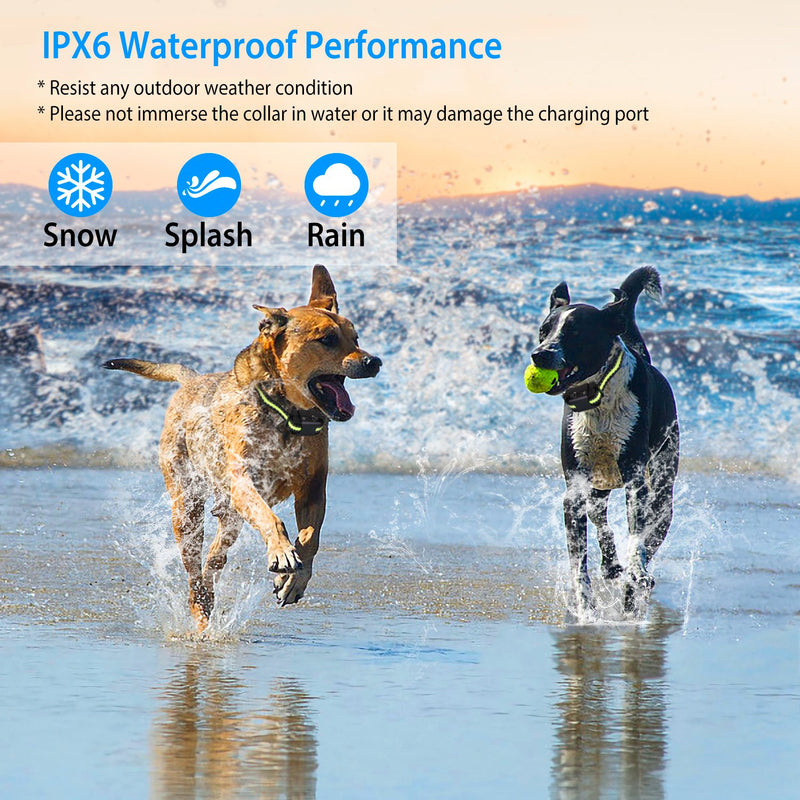 Dog Training Collar – Automatic Bark Control with 6 Intensity Levels