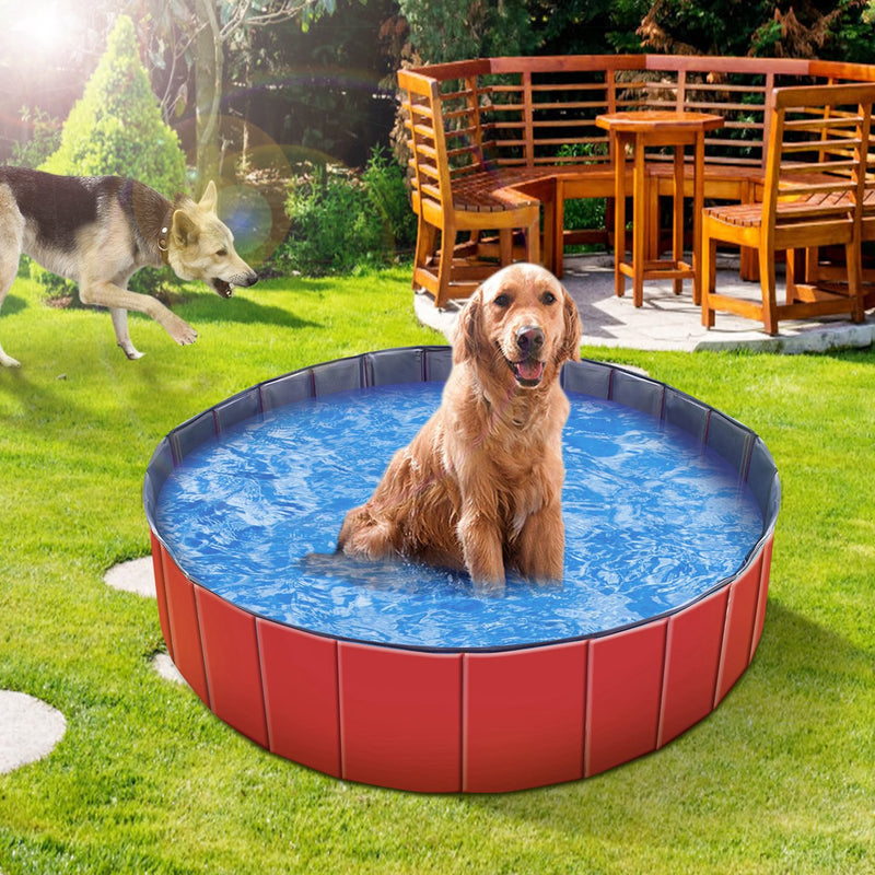 Pet Bathtub - 160cm PVC Pool for Dogs and Cats