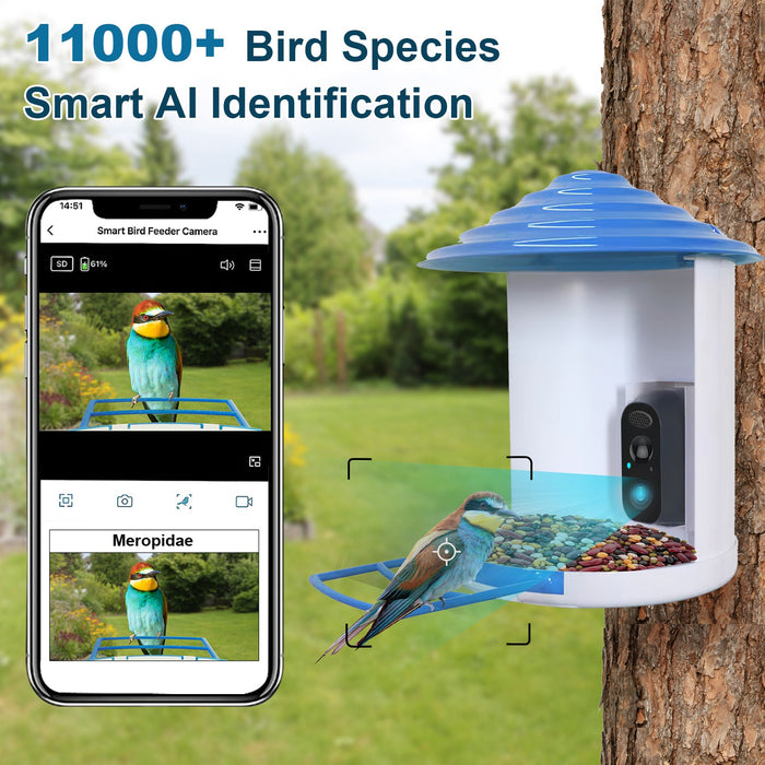 Smart Bird Feeder with Solar Camera 1080P HD – AI and WiFi