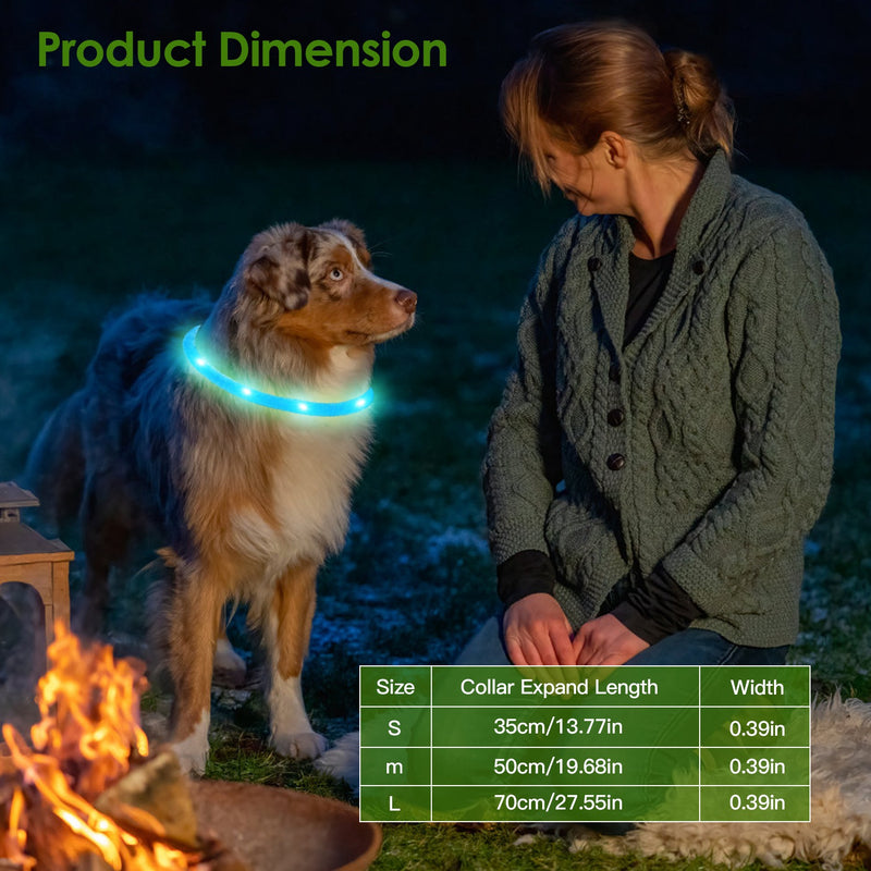 Luminous Safety Dog Collar – Multicolor and USB Rechargeable
