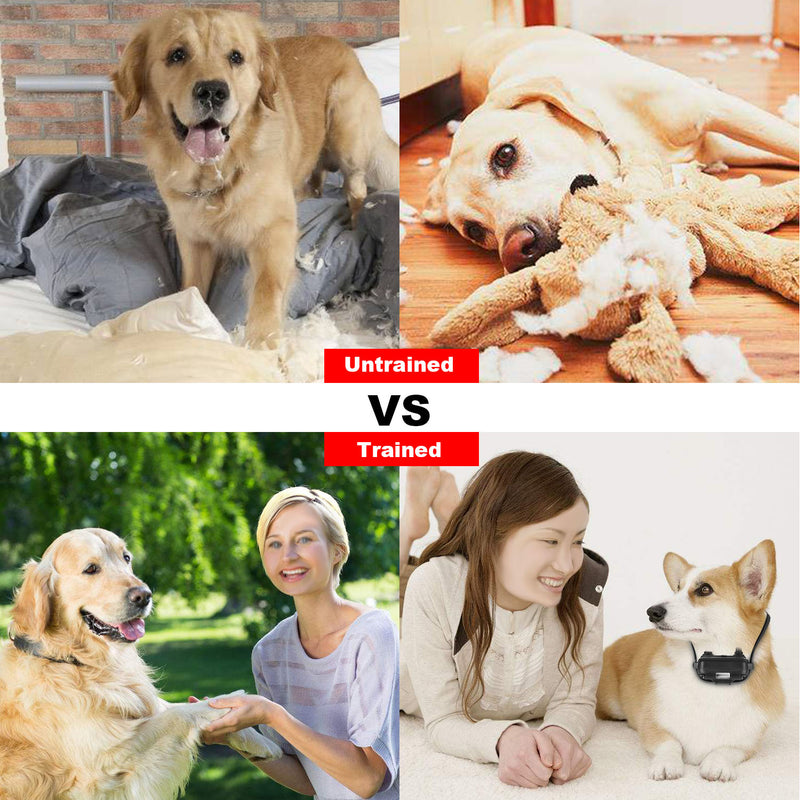 Dog Training Collar – 800m Remote Control, 4 Modes, IP67