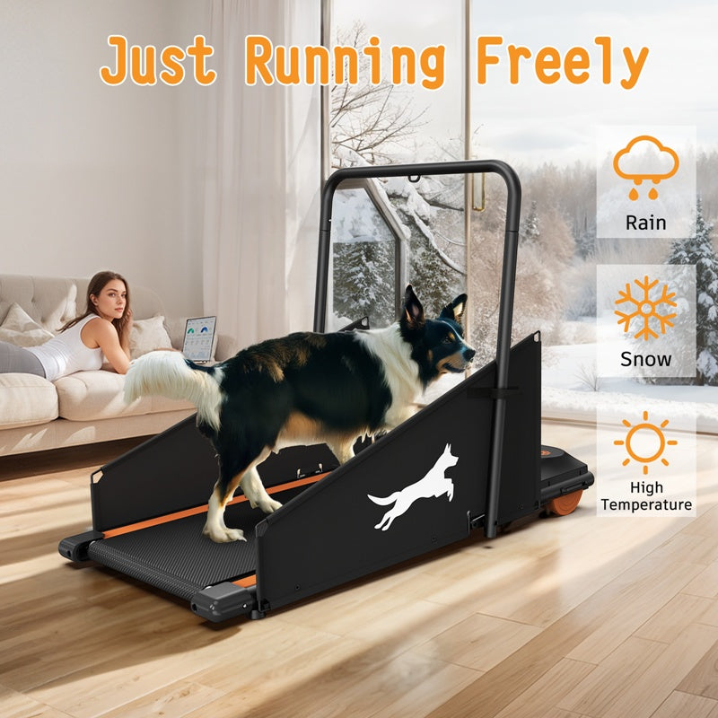 Dog Treadmill – 2.5 HP with Programs and LED Display