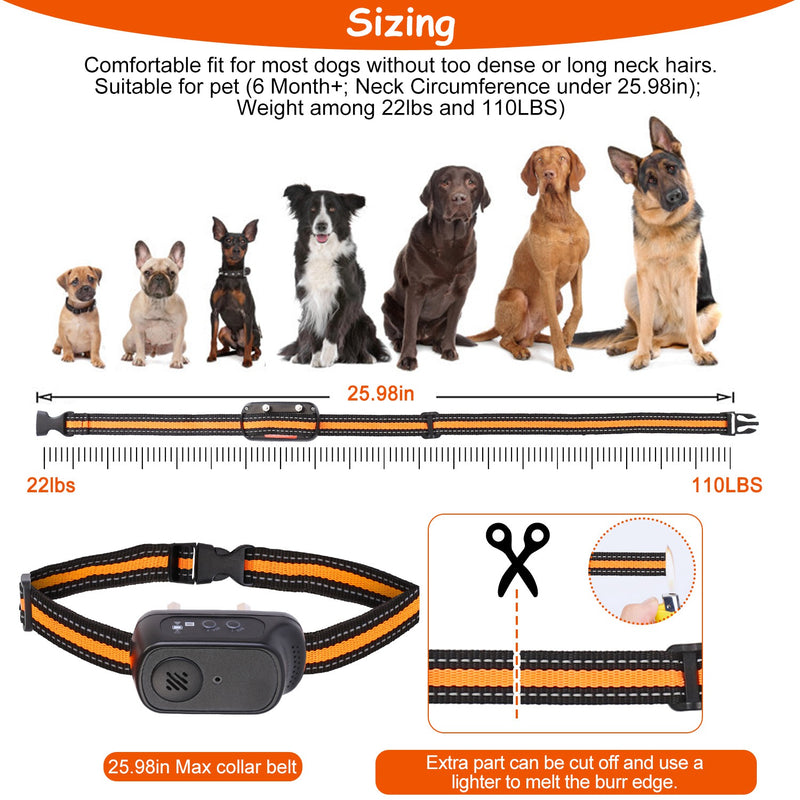 Dog Training Collar – 3 Modes, 9 Levels, Recording, and 300m Range