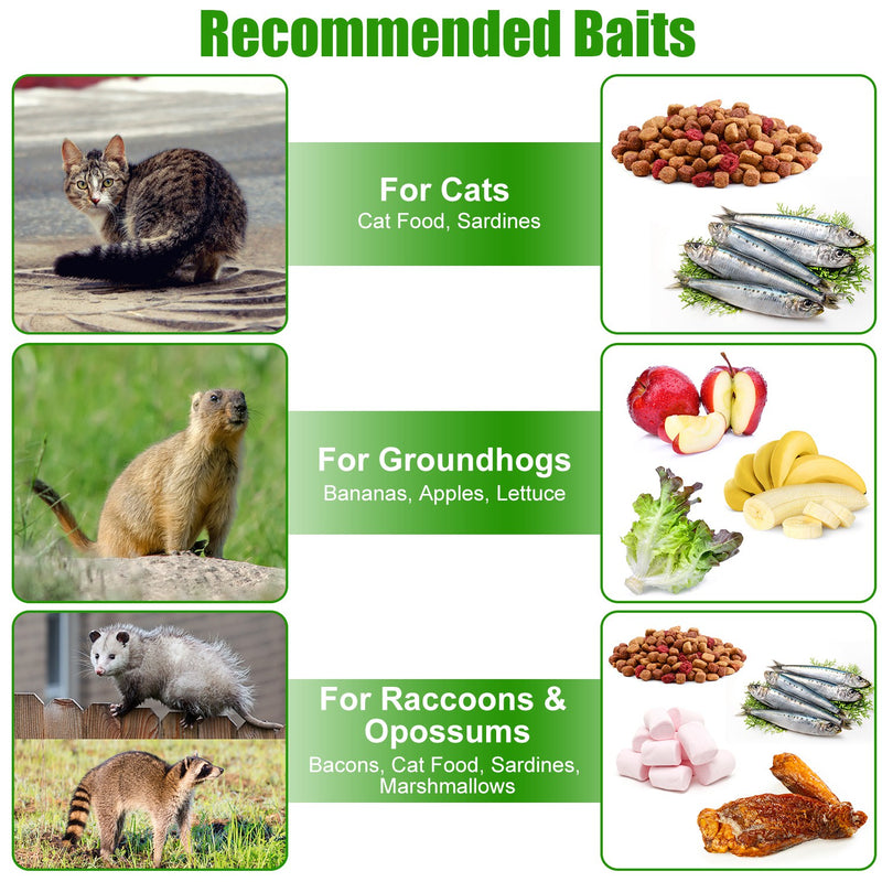 Galvanized Bamboo Humane Trap Cage – Extendable and Foldable