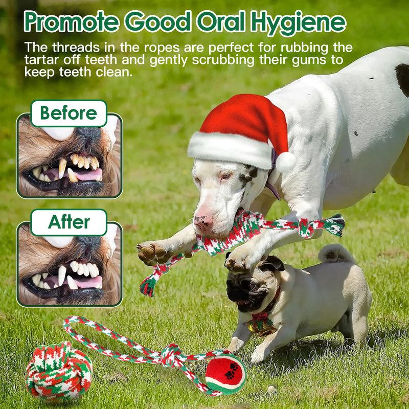 Christmas Puppy Chew Toys - 5 Pieces