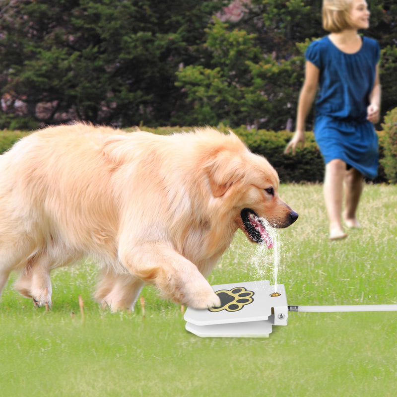 Dog Water Dispenser – Portable Fountain with Safety Pedal