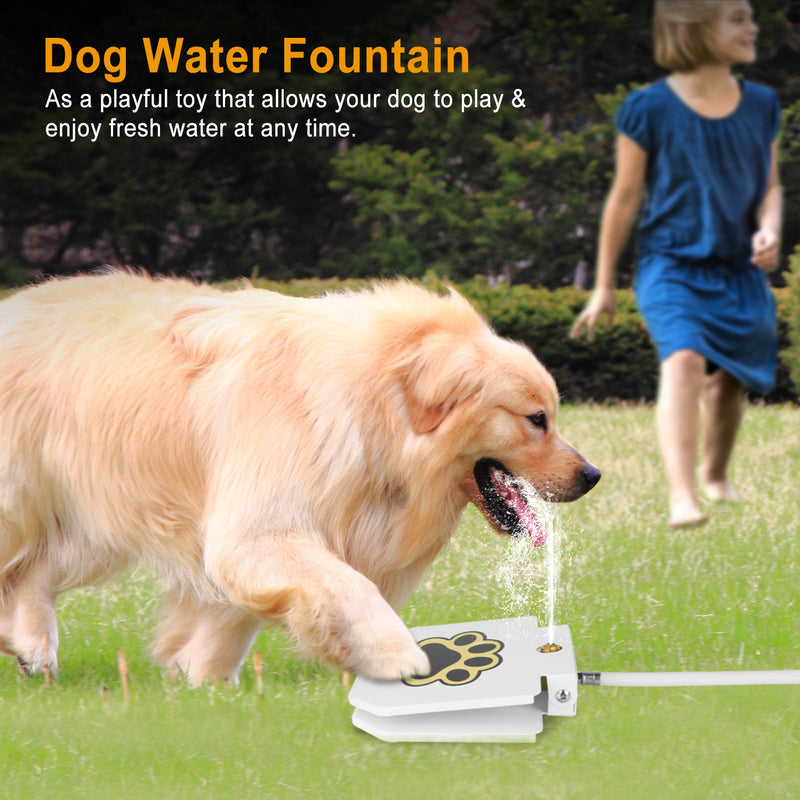 Dog Water Dispenser – Portable Fountain with Safety Pedal