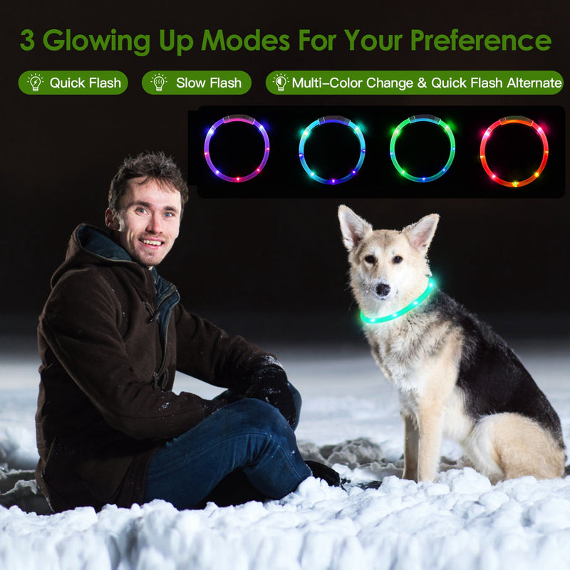 Luminous Safety Dog Collar – Multicolor and USB Rechargeable