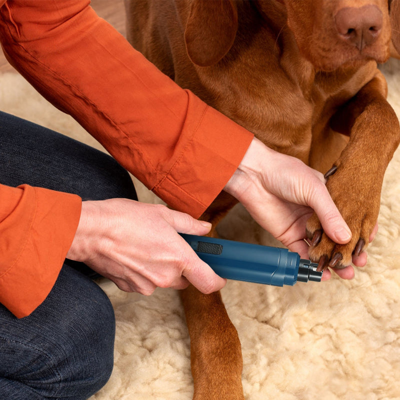 Electric pet nail grinder