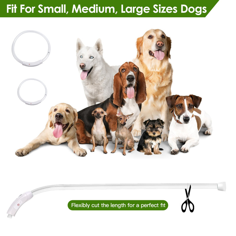 Luminous Safety Dog Collar – Multicolor and USB Rechargeable