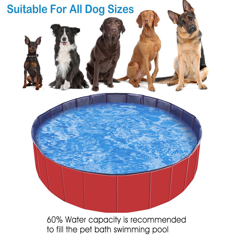 Pet Bathtub - 160cm PVC Pool for Dogs and Cats