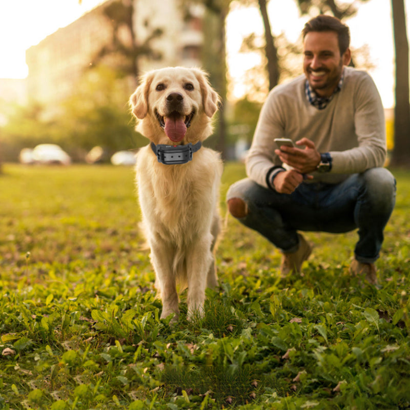 GPS Dog Fence System - Rechargeable Wireless Collar with Alert and Vibration