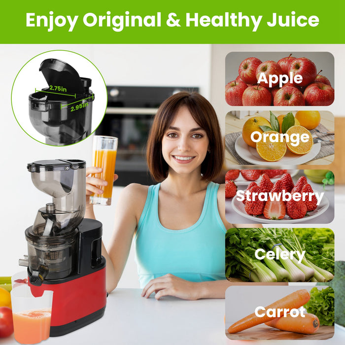 Slow Juicer - 300W with Clear Markings Display and Easy Cleaning