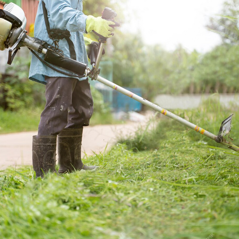 Servicio de áreas verdes de KOMINIC.COM con césped, plantas y jardinería en un espacio exterior bien cuidado.