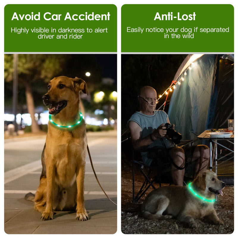 Luminous Safety Dog Collar – Multicolor and USB Rechargeable