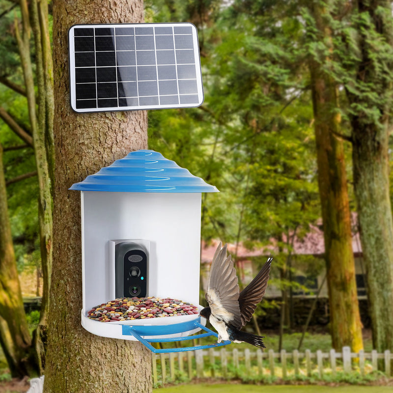 Smart Bird Feeder with Solar Camera 1080P HD – AI and WiFi