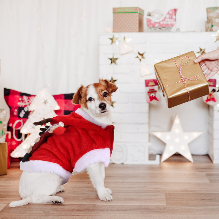 Christmas Pet Coat with Reindeer Antlers