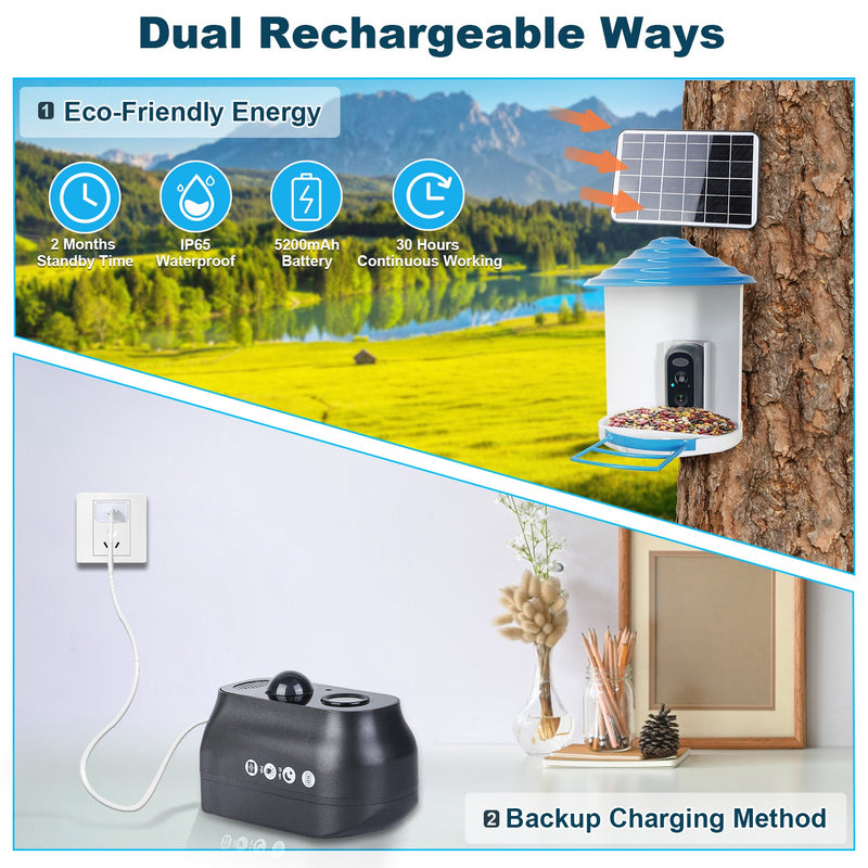Smart Bird Feeder with Solar Camera 1080P HD – AI and WiFi