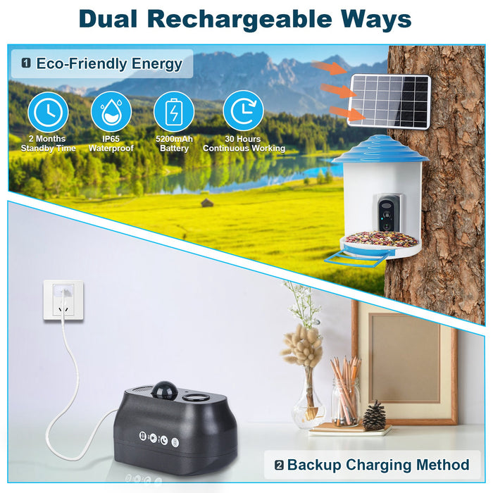 Smart Bird Feeder with Solar Camera 1080P HD – AI and WiFi