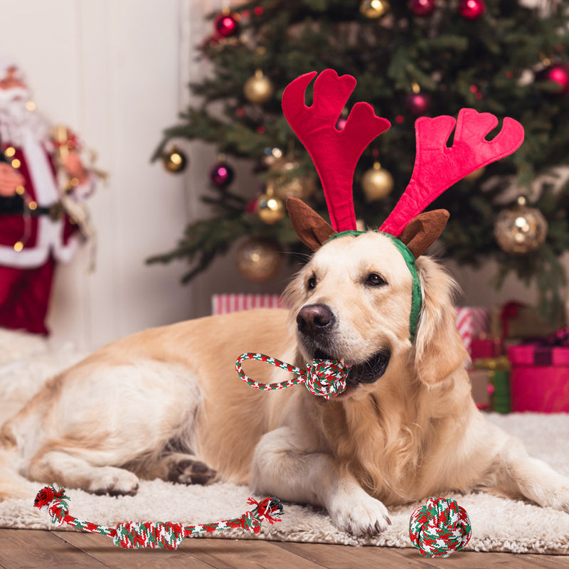 Christmas Puppy Chew Toys - 5 Pieces