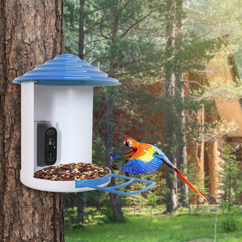 Smart Bird Feeder with Solar Camera 1080P HD – AI and WiFi