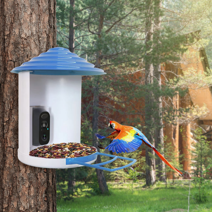 Smart Bird Feeder with Solar Camera 1080P HD – AI and WiFi