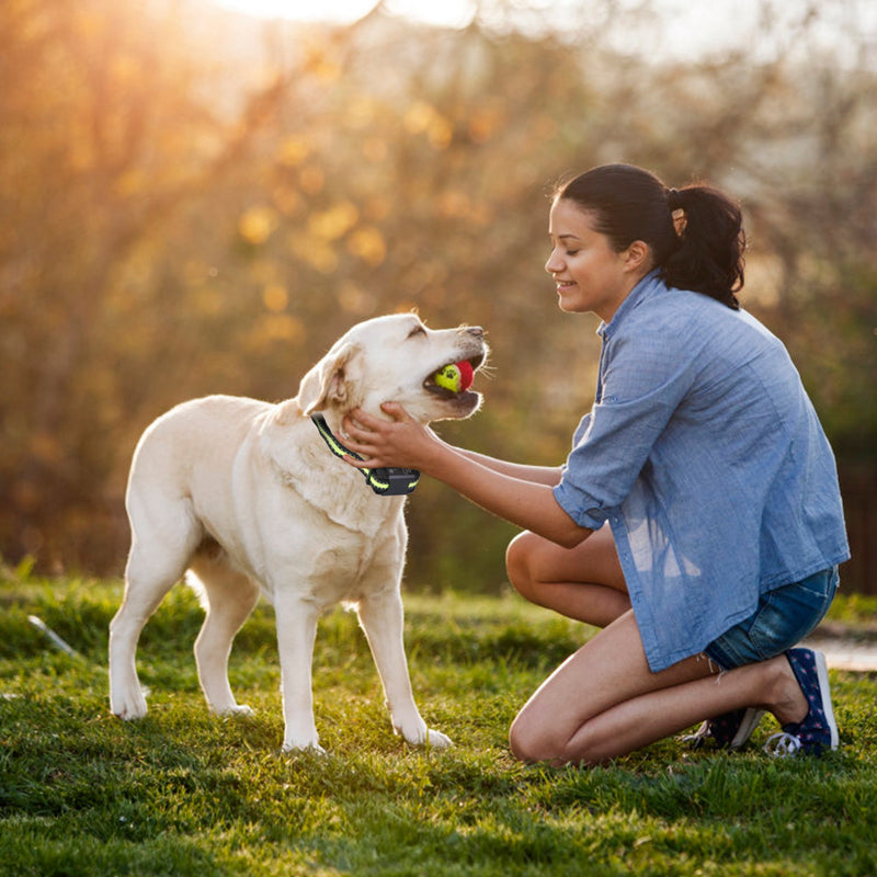Dog Training Collar – Automatic Bark Control with 6 Intensity Levels
