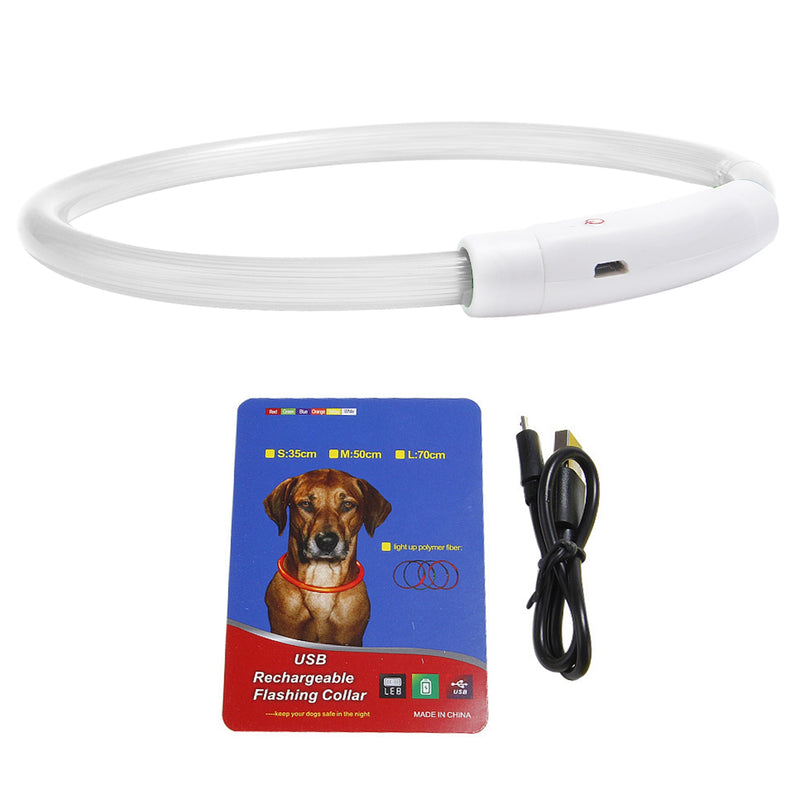 Luminous Safety Dog Collar – Multicolor and USB Rechargeable