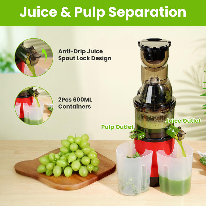 Slow Juicer - 300W with Clear Markings Display and Easy Cleaning