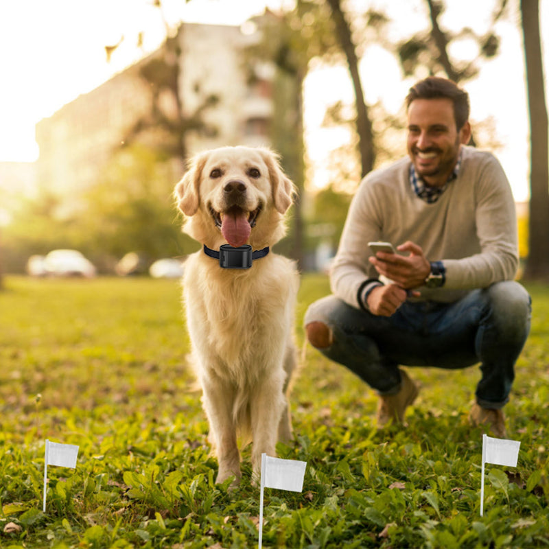 Waterproof Training Collar – For Small, Medium, and Large Dogs