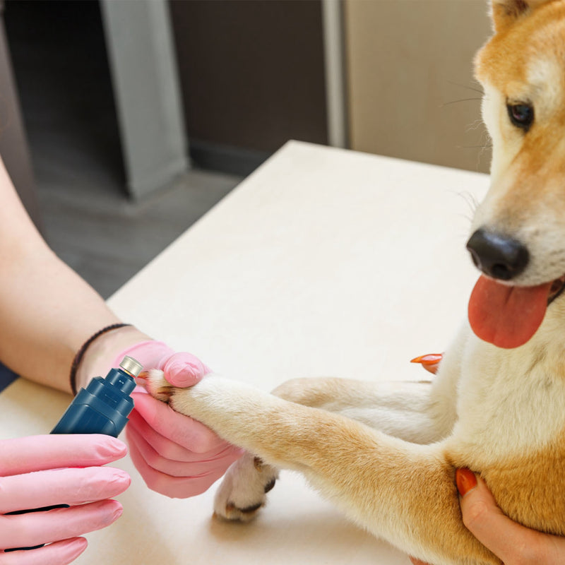 Electric pet nail grinder