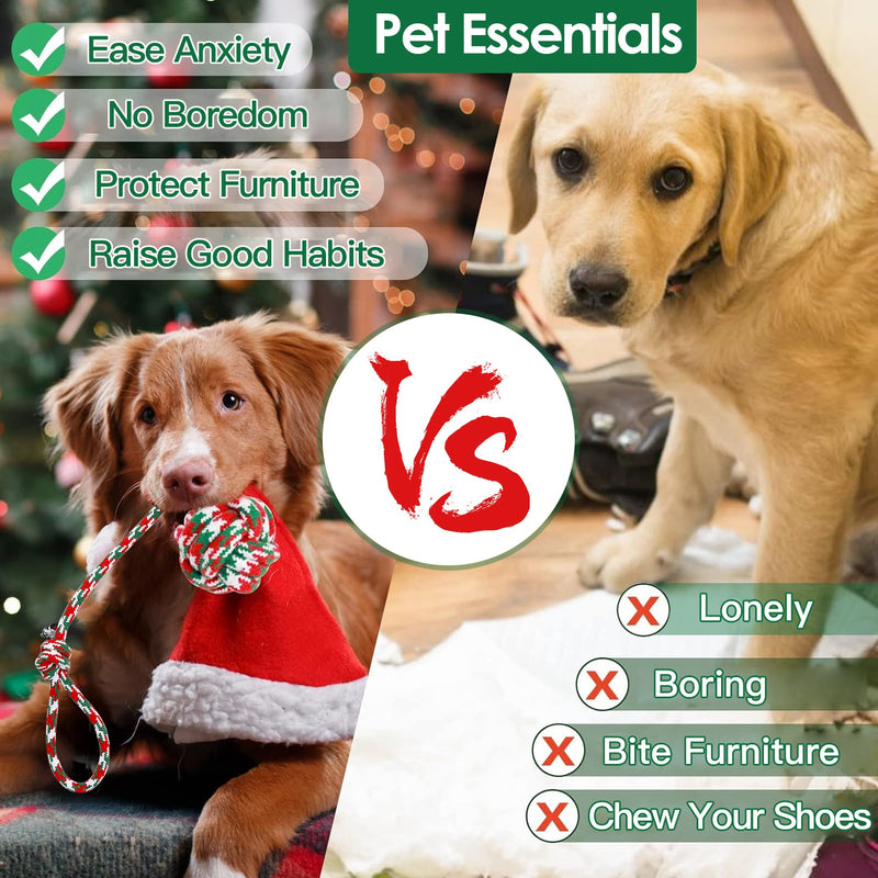 Christmas Puppy Chew Toys - 5 Pieces