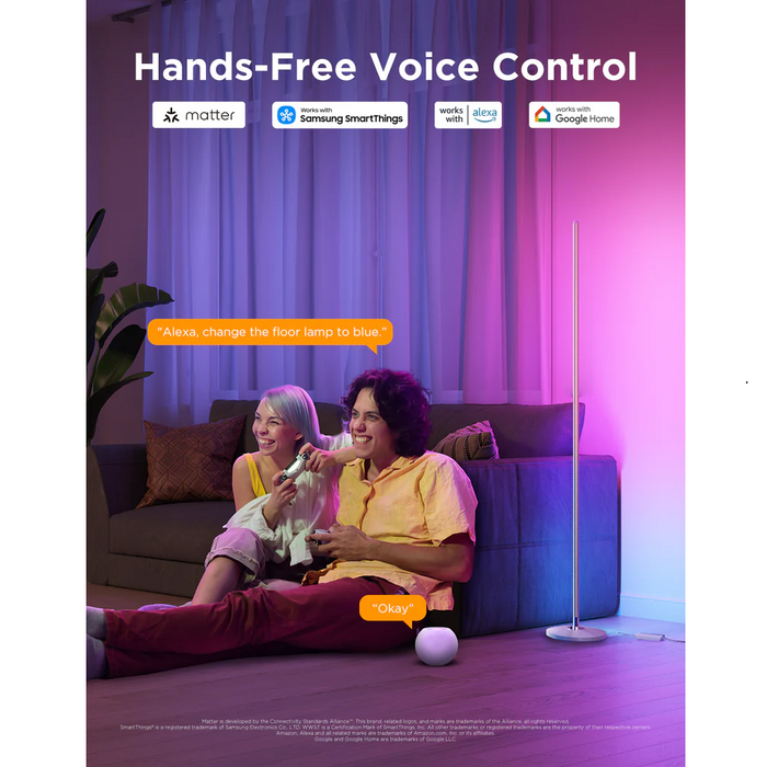 Lámpara de Piso Inteligente Govee RGBICW